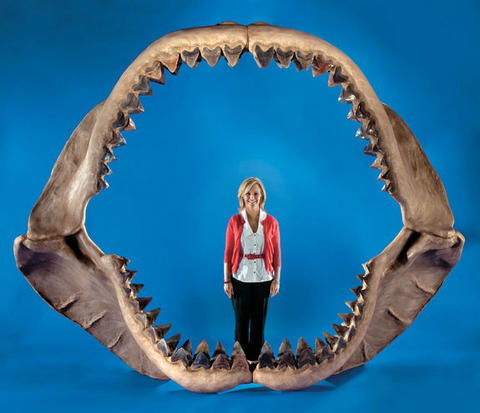 jaws-shark-largest-110519-Carcharocles megalodon.jpg